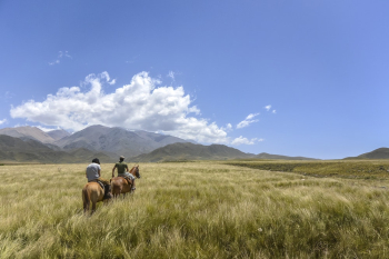 Men Riding on Horses Men Riding on Horses
