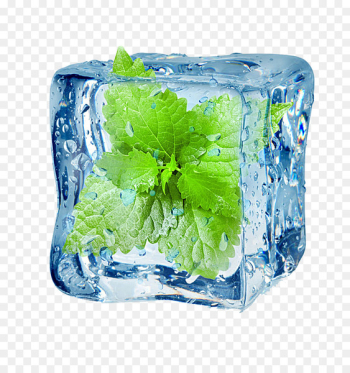 Menthol Peppermint Flavor Electronic cigarette aerosol and liquid - Iced mint leaves 