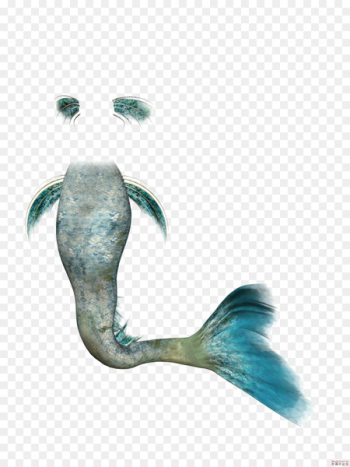 Mermaid Rusalka Clip art - Mermaid tail Mermaid Rusalka Clip art - Mermaid tail