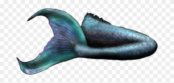 Mermaid Tail 2 Officialpsds - Real Mermaid Tail Png Mermaid Tail 2 Officialpsds - Real Mermaid Tail Png