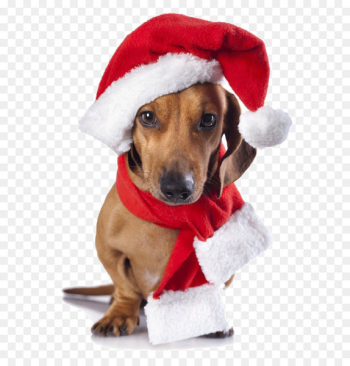 Merry Christmas Merry Christmas