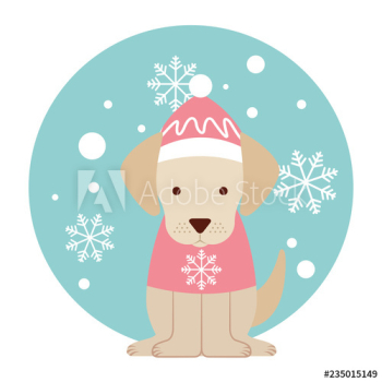 merry christmas card merry christmas card