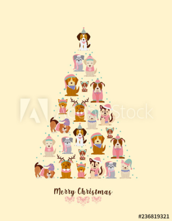 merry christmas card merry christmas card