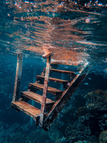 Metal Stairs Underwater Metal Stairs Underwater