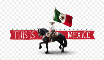 Mexico United States of America Horse South America Logo - Mexico United States of America Horse South America Logo -