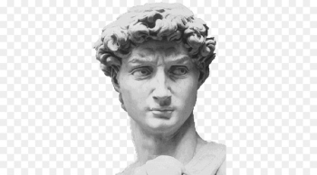 Michelangelo David Marble sculpture Portrait Sculpture - Face 