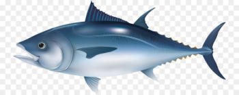 Microsoft PowerPoint Fish Tuna Template Presentation slide - Sea fish 