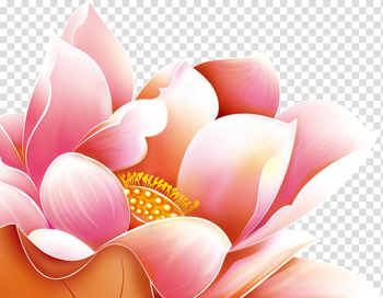 Mid autumn festival decoration lotus flower transparent background PNG clipart