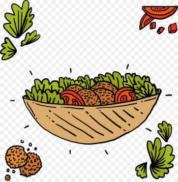 Middle Eastern cuisine Falafel Shawarma Vegetarian cuisine Lebanese cuisine - salad 
