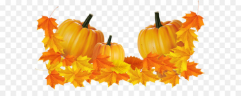 Midnight Rodeo Amarillo Thanksgiving Day Thanksgiving dinner Clip art - Transparent Thanksgiving Pumpkin Decor Clipart 