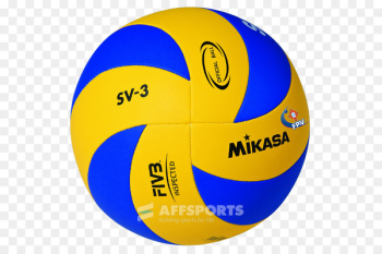 Mikasa Sports Volleyball Training Mikasa MVA 200 - volleyball 