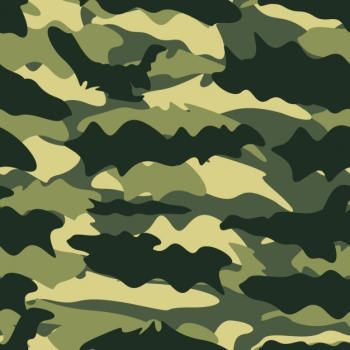 Military background Military background