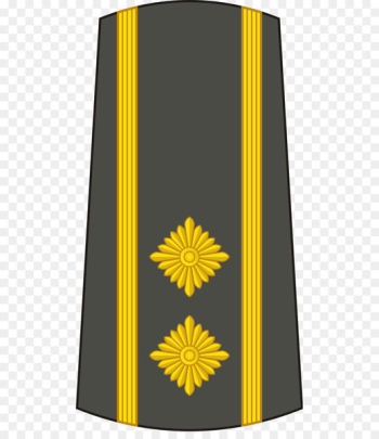 Military rank Lieutenant colonel Army officer - military Military rank Lieutenant colonel Army officer - military