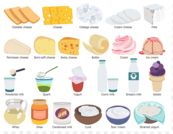 Milk Dairy Products Food group Health food - Healthy Group Cliparts 