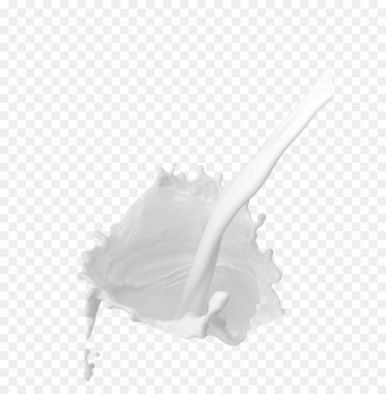Milk Liquid Drop Cattle - milk Milk Liquid Drop Cattle - milk