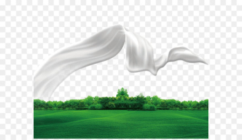 Milk ribbon grass green lawn Milk ribbon grass green lawn