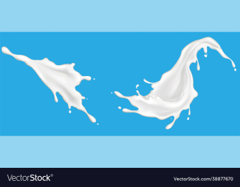 milk yogurt or cream splash blot set drink milk yogurt or cream splash blot set drink