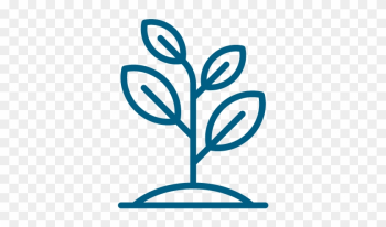 Mill Grow - Trees For The Future Mill Grow - Trees For The Future