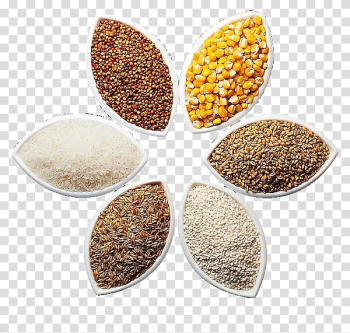 Millet platter transparent background PNG clipart Millet platter transparent background PNG clipart