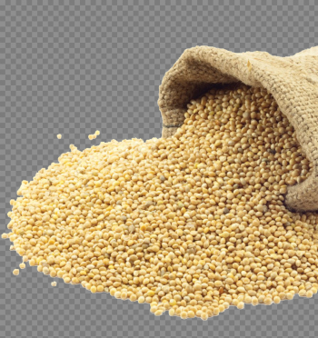 Millet PNG Download Image