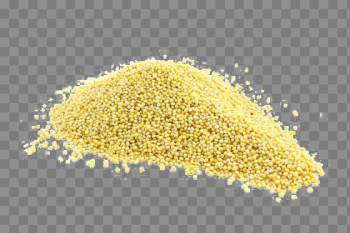Millet PNG Image Background Millet PNG Image Background