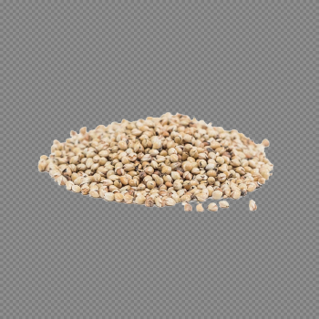 Millet PNG Photo Millet PNG Photo
