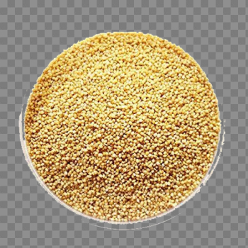 Millet PNG Pic Millet PNG Pic