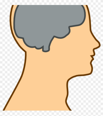 Mind Clipart Medical Diagram Of Brain Clip Art At Clker - Brain Clip Art Mind Clipart Medical Diagram Of Brain Clip Art At Clker - Brain Clip Art