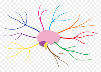 Mind map Sketch - Color Radiation Brain Thinking Analysis Mind map Sketch - Color Radiation Brain Thinking Analysis