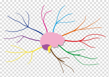 Mind map Sketch, Color Radiation Brain Thinking Analysis transparent background PNG clipart