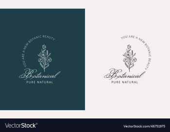 minimal feminine botanical floral branch and logo