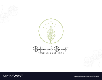 minimal feminine botanical floral branch and logo