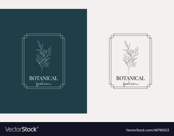 minimal feminine botanical floral branch and logo