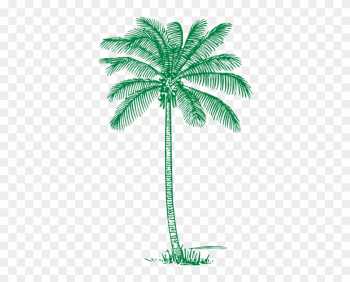 Mint Clipart Tree - Coconut Tree Line Art Mint Clipart Tree - Coconut Tree Line Art