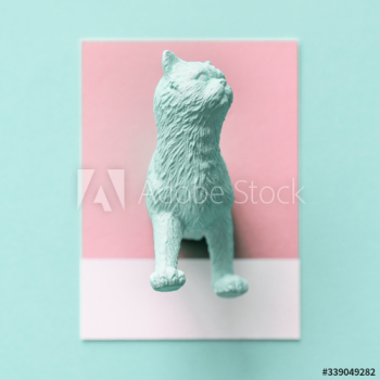 Mint green cat Mint green cat