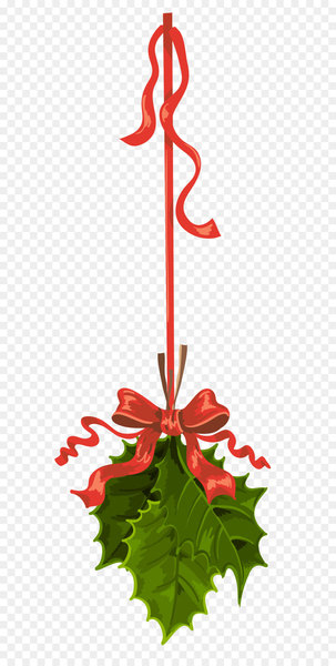 Mistletoe Christmas Clip art - Transparent Christmas Hanging Mistletoe PNG Clipart 