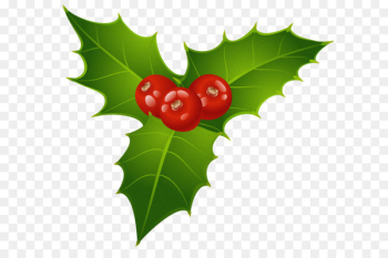 Mistletoe Christmas Common holly Candy cane Clip art - Christmas Mistletoe PNG Clipart 