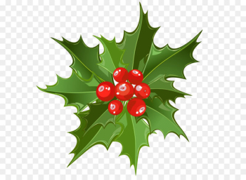 Mistletoe Christmas Santa Claus Clip art - Christmas Mistletoe PNG Art 