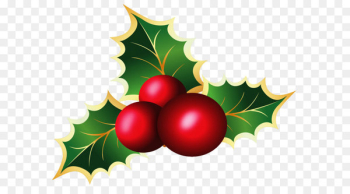 Mistletoe Christmas Viscum album Clip art - Transparent Christmas Mistletoe PNG Picture 