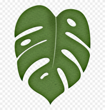 Moana Leaf