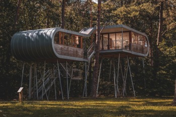 Modern Home Modern Home