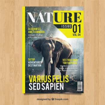 Modern nature magazine cover template with photo