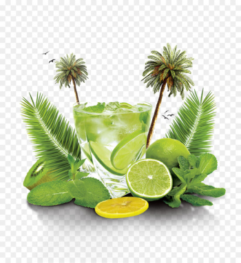 Mojito Cocktail Download Flyer - Summer Jieshu a glass of lemonade 