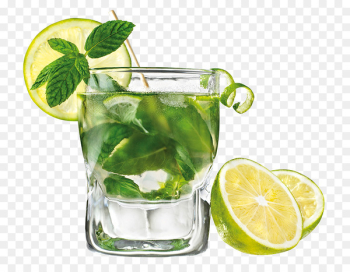 Mojito Rum Cocktail Carbonated water Lemonade - Mojito PNG Photos 