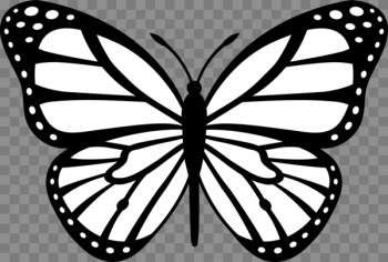 Monarch Butterfly Black White | Free Images at PNGio - vector ...