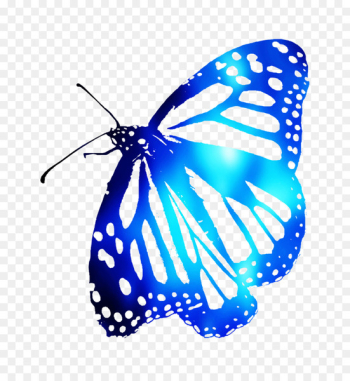 Monarch butterfly Brush-footed butterflies Line Point Symmetry -  