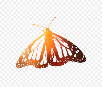 Monarch butterfly Brush-footed butterflies Moth Insect Membrane -  