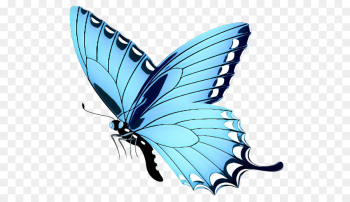 Monarch Butterfly, Brushfooted Butterflies, M Butterfly, Moths And Butterflies, Butterfly PNG