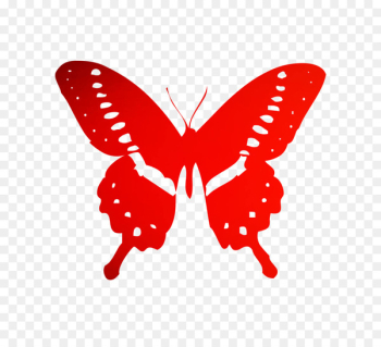 Monarch butterfly Bumper sticker Decal Insect - Monarch butterfly Bumper sticker Decal Insect -