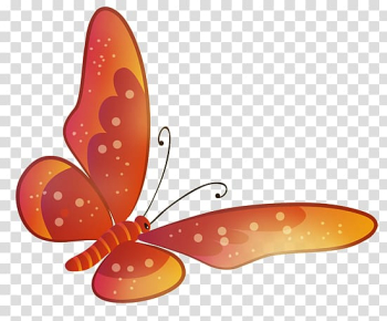 Monarch butterfly , Colorful butterfly transparent background PNG clipart